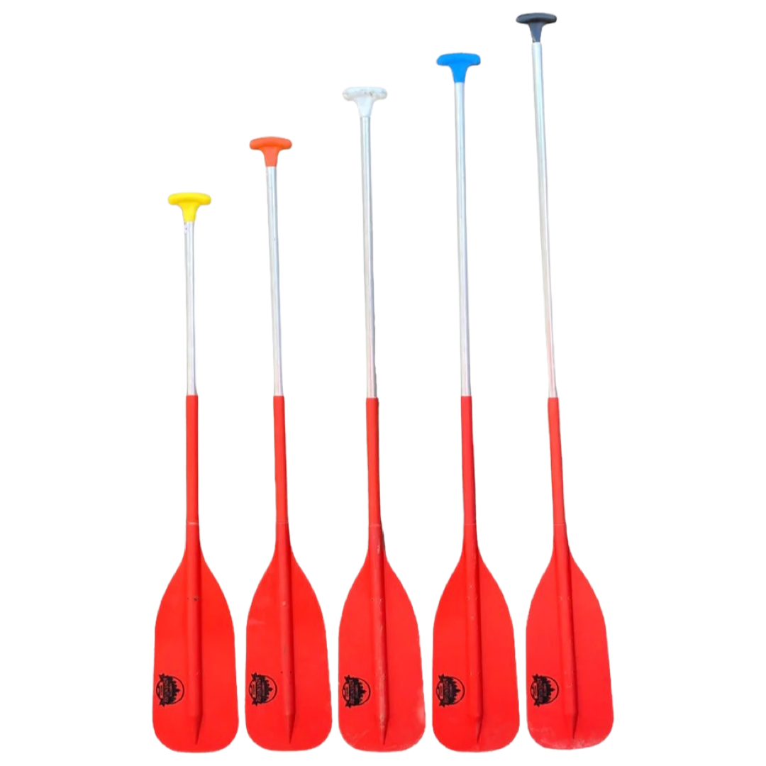 Aluminum Canoe Paddle Rental