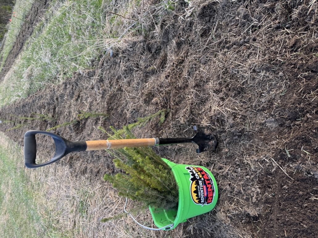 Rent a Canoe Plant A Program Local reforestation supported by canoe rentals
