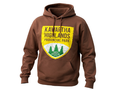 Vintage park icon hoodie